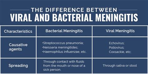 viral meningitis versus bacterial meningitis